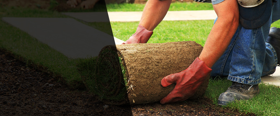 Eden Prairie Landscapers